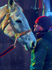 Girl in red hat looking at white horse.