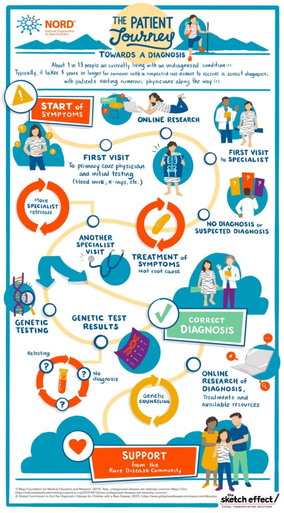 New Patient Journey Infographic Gives A Glimpse Into The Diagnostic Odyssey  - National Organization for Rare Disorders