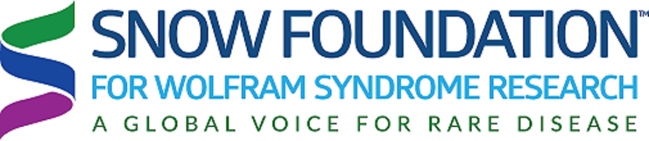 The snow foundation logo 2018.